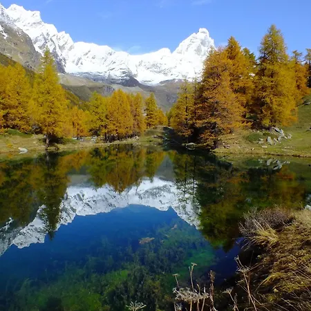 Hellochalet Cervinia - Ski-in Ski-out Studio, 200mt At Plan Maison Lift *